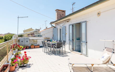 Attico del Corso: Appartement, Balcon, Pot De Fleur, Plante D'Appartement, Vélo, Vélo Fourchette
