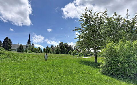 Sonne: Bleu, Vert, Herbe, Arbre, Environnement Naturel, Feuille, Prairie, Nuage, Végétation, Été