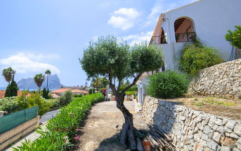 Pinarmar: Recours, Piscine, Biens, Ombre, Aménagement Paysager, Eco Hôtel, Hôtel, Villa