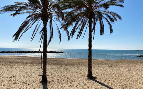 Il Favollo: Bleu, Plan D'Eau, Plage, Côte, Mer, Cotiers Et Relief Océaniques, Rive, Le Sable, Océan, Tropiques