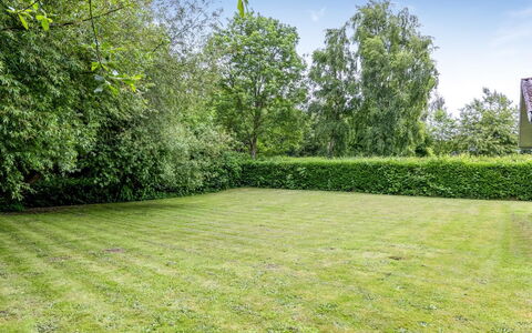 Elif - 200M from the Sea: Vert, Herbe, Arbuste, Prairie, Jardin, Lot Terre, Pelouse, Couverture De Sol, Prairie