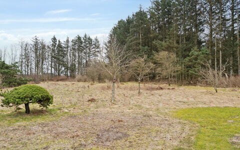 Algeth - 2.5Km from the Sea: Arbre, Environnement Naturel, Paysage Naturel, Prairie, Plaine, Lot Terre, Communauté Des Plantes, Sol, Pâturage