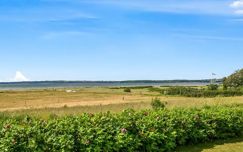Gustav - 50M from the Sea: Ciel, Bleu, Vert, Nuage, Prairie, Prairie, Plantation, Champ, Prairie