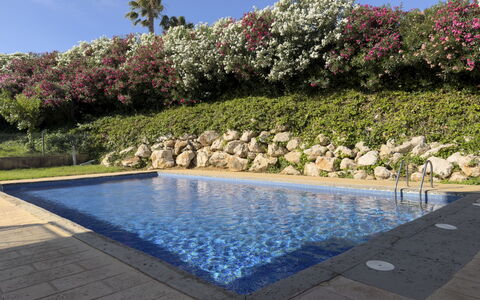 Tramuntana Ii: Piscine, Arbuste, Jardin, Recours, Aménagement Paysager, Loisir, Ombre, Caractéristique De L'Eau, Arrière-Cour, Cour