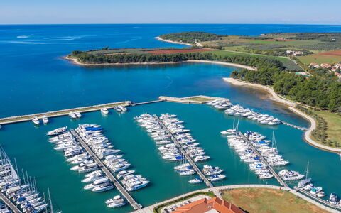 Novigrad (Istra) 142: Piscine, Recours, Domicile, Eco Hôtel, Biens, Patio, Villa, Cour, Conception, Mobilier De Jardin