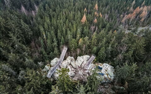 Rokytnice Nad Jizerou 2: Forêt, Mélèze, Conifères Tropicale Et Subtropicale Forêts, Jungle, À Feuilles Persistantes, Des Bois