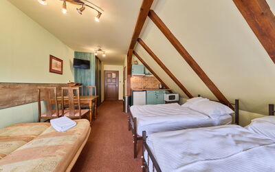 Logement:&nbsp;Roky - Dolní Náměstí 2.3
