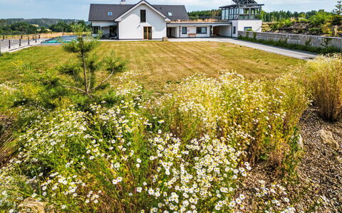 Dačice 100: Prairie, Chalet, Jardin, Prairie, Biens, Wildflower, Aménagement Paysager, Ferme, Ferme