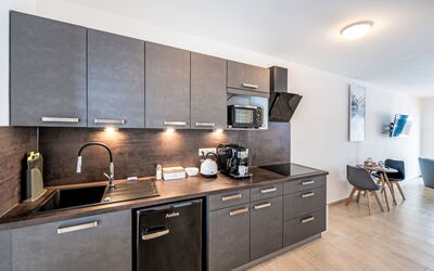 Logement:&nbsp;V Šachu 100.4