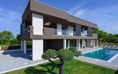 Teulu: Design Intérieur, Sol, Sol, Plafond, Appartement, Ombre, Chaise, Luminaire, Lampe, Plante D'Appartement