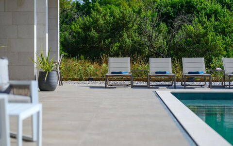 Teulu: Design Intérieur, Sol, Sol, Plafond, Appartement, Ombre, Chaise, Luminaire, Lampe, Plante D'Appartement