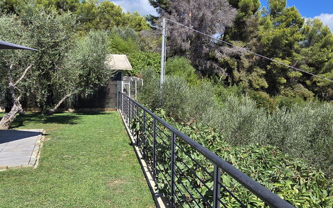 Villa Pineta della Rovere: Arbuste, Jardin, Clôture, Ombre, Balustrade, Aménagement Paysager, Arrière-Cour, Accueil Escrime