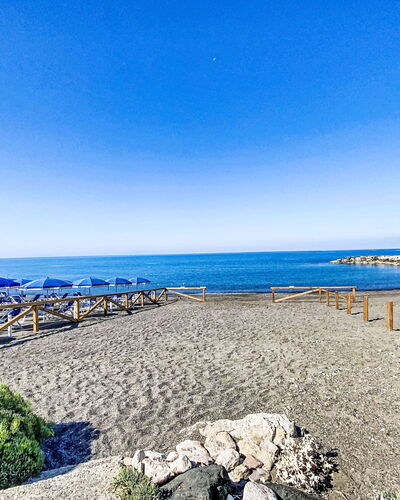 Cecina 570