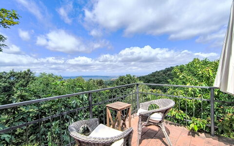 Cuculo: Balcon, Mobilier De Jardin, Tableau De Plein Air, Chaise, Jungle, Clôture, Cumulus, Eco Hôtel, Balustrade, Plate-Forme