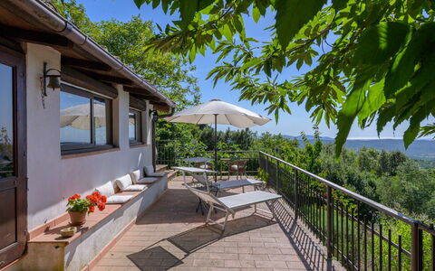 Cuculo: Meubles, Chaise, Mobilier De Jardin, Balcon, Ombre, Plante D'Appartement, Pot De Fleur, Table Cuisine Et Salle A Manger, Cour, Tableau De Plein Air