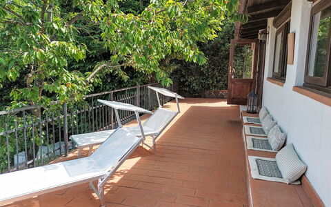 Cuculo: Bois, Meubles, Mobilier De Jardin, Ombre, Tache De Bois, Plate-Forme, Tableau De Plein Air, Dur, Porche, Chaise