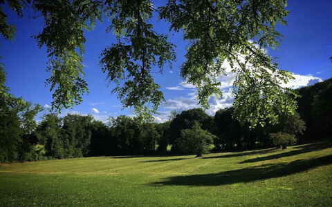 Villa Veneta - Historic Villa in the Prosecco Hill: Bleu, Herbe, Feuille, Jour, Vert, La Nature, Arbre, Branche, Environnement Naturel, Végétation