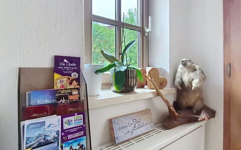 Boutique Appartement Tauernblick: Design Intérieur, Meubles, Rayonnage, Pièce, Étagère, Plante D'Appartement, Pot De Fleur, Cadre