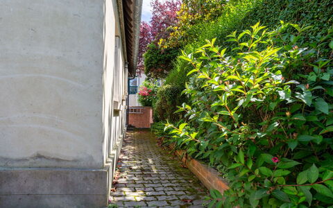 Villerville: Vert, Arbuste, Printemps, Couverture De Sol, Jardin, Brique, Passerelle, Aménagement Paysager, Trottoir
