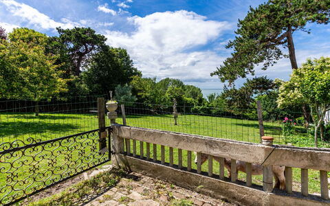 Villerville: Clôture, Lumière Du Soleil, Jardin, Ombre, Balustre, Accueil Escrime, Aménagement Paysager, Balustrade, Parc, Ombre