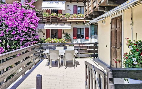 Edera: Fleur, Balcon, Floristique, Plante D'Appartement, Hôtel