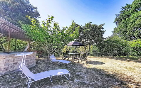 Archi 6: Arbre, Arbuste, Jardin, Ombre, Aménagement Paysager, Cour, Pelouse, Arrière-Cour, Parc, Allée