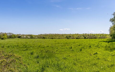 Susianna - 550M from the Sea: Ciel, Bleu, Vert, Jour, Herbe, Prairie, Environnement Naturel, Végétation, Paysage Naturel, Écorégion