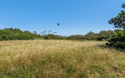 Toska - 800M from the Sea: Bleu, Chalet, Maison, Domicile, Ferme, Biens, Siding