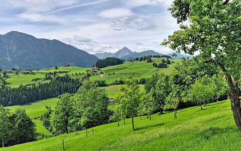 Hoamat Stadlfeld: Montagnes Relief, Vert, Arbre, Colline, Herbe, Environnement Naturel, Paysage Naturel, Montagne, Prairie, Montagnes