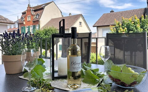 Endingen am Kaiserstuhl 100: Bouteille, Bouteille En Verre, Verre, Pot De Fleur, Bouteille De Vin, Plante D'Appartement, Du Vin