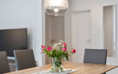 Logement:&nbsp;Christine (S3) 100.3