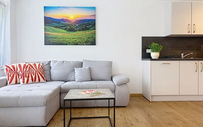 Logement:&nbsp;Fiona (S6) 100.6