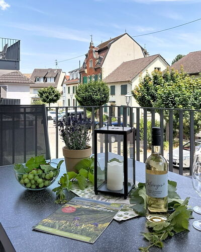 Endingen am Kaiserstuhl 100: Balcon, Pot De Fleur, Domicile, Design Urbain, Appartement, Plante D'Appartement, Porche, Chaise, Balustrade, Clôture
