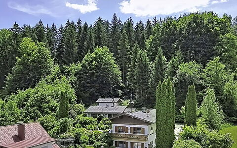 Velden am Wörthersee 39: Arbre, Maison, Arbuste, Domicile, Chalet, Toit, Mélèze, Forêt, Jardin, Biens