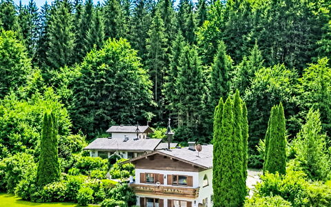 Velden am Wörthersee 39: Arbre, Arbuste, Forêt, Domicile, Jardin, Chalet, Mélèze, Station De Montagne, Aménagement Paysager