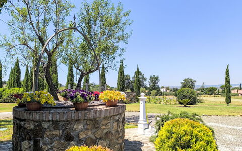 Scarlino 35: Arbre, Feuille, Arbuste, Paysage, Jardin, Printemps, Suppression Des Plantes Ligneuses, Aménagement Paysager, Jardin Botanique