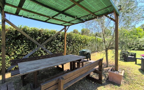 Scarlino 35: Bois, Ombre, Structure En Plein Air, Tableau De Plein Air, Extérieur Banc, Canopée, Jardin, Mobilier De Jardin, Tache De Bois, Belvédère