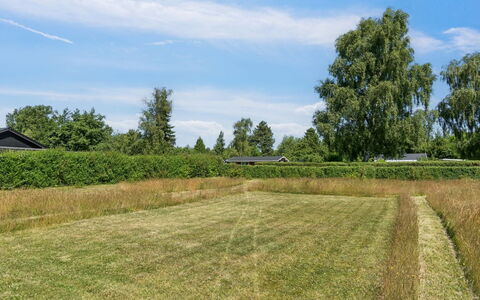 Kalervo - 2.9Km to the Fjord: Vert, Herbe, Arbre, Environnement Naturel, Prairie, Plaine, Paysage, Champ, Lot Terre