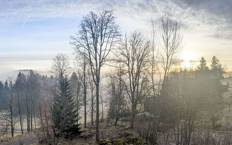 Auszeit für Körper und Seele: Ciel, Branche, Arbre, La Nature, Environnement Naturel, Feuille, Atmospherique Phénomène, Paysage Naturel, Brindille, Région Sauvage
