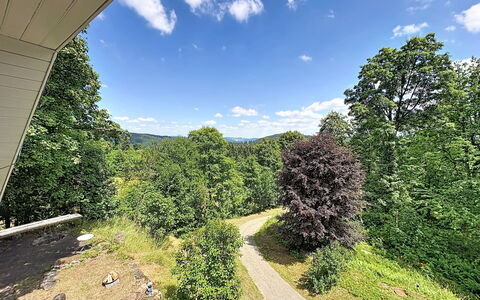 Auszeit für Körper und Seele: Feuille, Arbre, Vert, Environnement Naturel, La Nature, Végétation, Paysage Naturel, Arbuste, Paysage, Colline