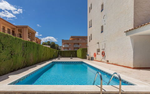 Marc Miami: Piscine, Zone Résidentielle, Appartement, Composite, Biens, Recours, Condominium, Hôtel, Villa, Hacienda
