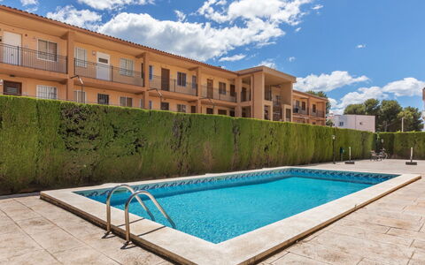 Marc Miami: Piscine, Composite, Recours, Caractéristique De L'Eau, Biens, Hôtel, Thermes, Villa, Hacienda, Eco Hôtel