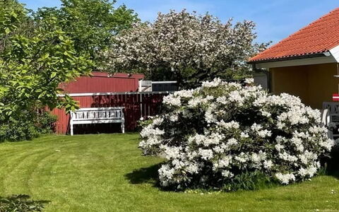 Sunaj - 350M from the Sea