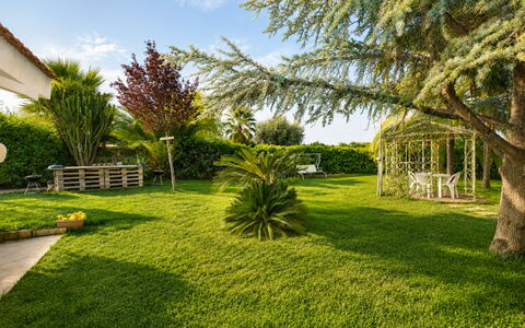 Il Cigno Reale Green: Herbe, Arbre, Vert, Feuille, Végétation, Jardin, Arbuste, Paysage, Pelouse