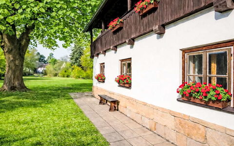 Máchova Roubenka: Chalet, Jardin, Pelouse, Aménagement Paysager, Cour, Ferme, Tache De Bois, Arrière-Cour, Plante D'Appartement, Clôture