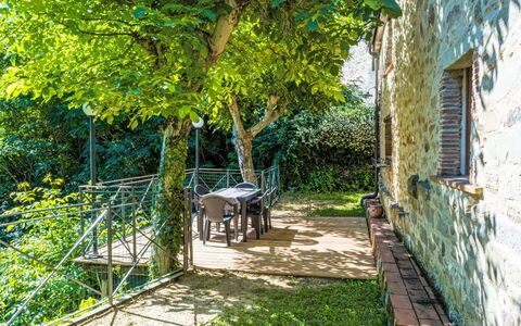 Fibbialla: Printemps, Jardin, Arrière-Cour, Ombre, Cour, Clôture, Vélo Fourchette, Vélo