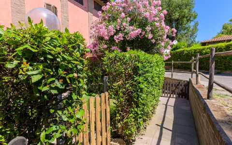 La Molletta: Fleur, Arbuste, Rose, Jardin, Printemps, Cour, Aménagement Paysager, Arrière-Cour, Clôture