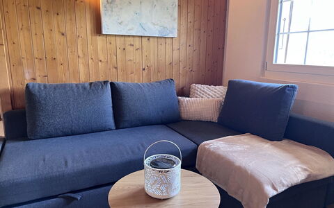 Chez Teddy Ug: Meubles, Canapé, Coussin, Oreiller, Salon, Throw Pillow, Linge, Lampe