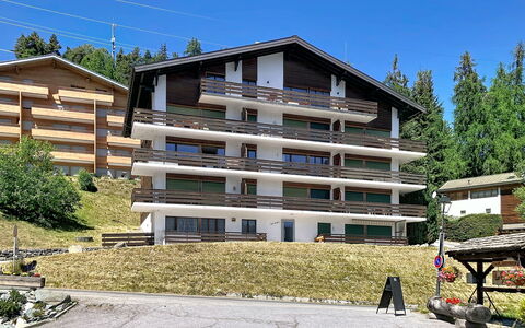 Résidence Croix de Coeur: Domicile, Zone Résidentielle, Chalet, Mélèze, Balcon, Village De Montagne, Famille Pine