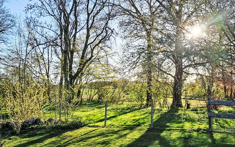 Schlönis Koppelblick: Bleu, Branche, Vert, Feuille, Herbe, Arbre, La Nature, Environnement Naturel, Végétation, Paysage Naturel